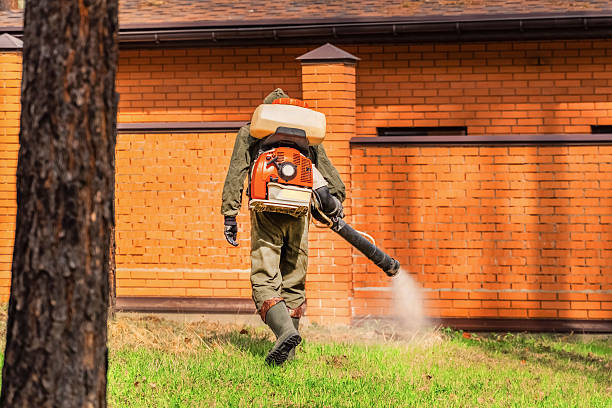 Trusted Cockroach Control service in Edgewater, NJ - Nex Pest Control